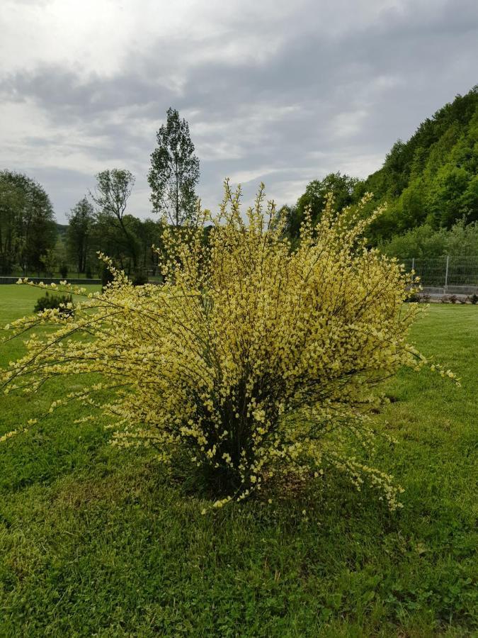 Casa Nagy Hotel Sovata Luaran gambar